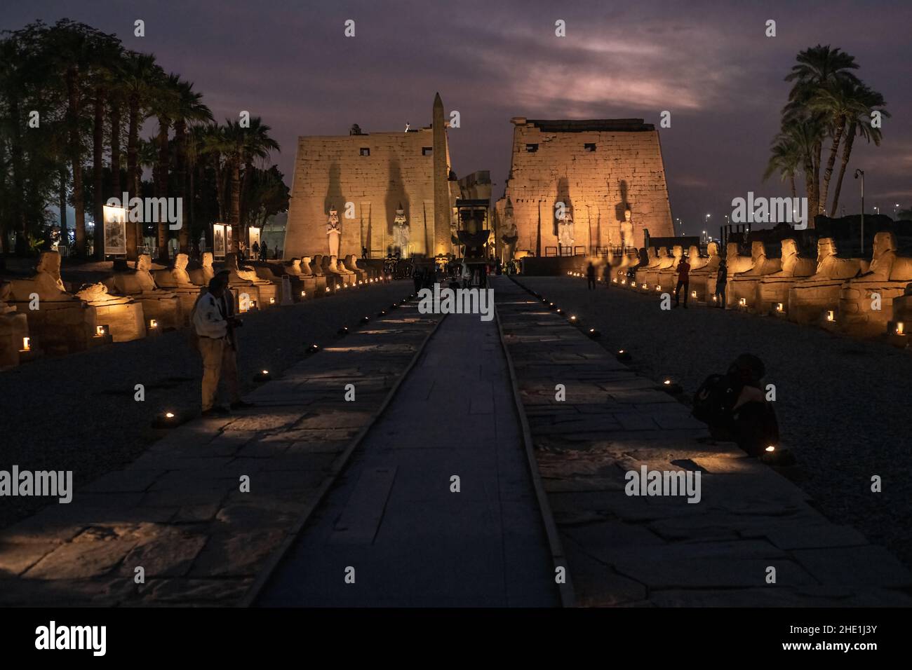 The avenue of the sphinxes road at Luxor temple, Egypt dramatically illuminated at night. The rams road has just been restored and reopened recently. Stock Photo