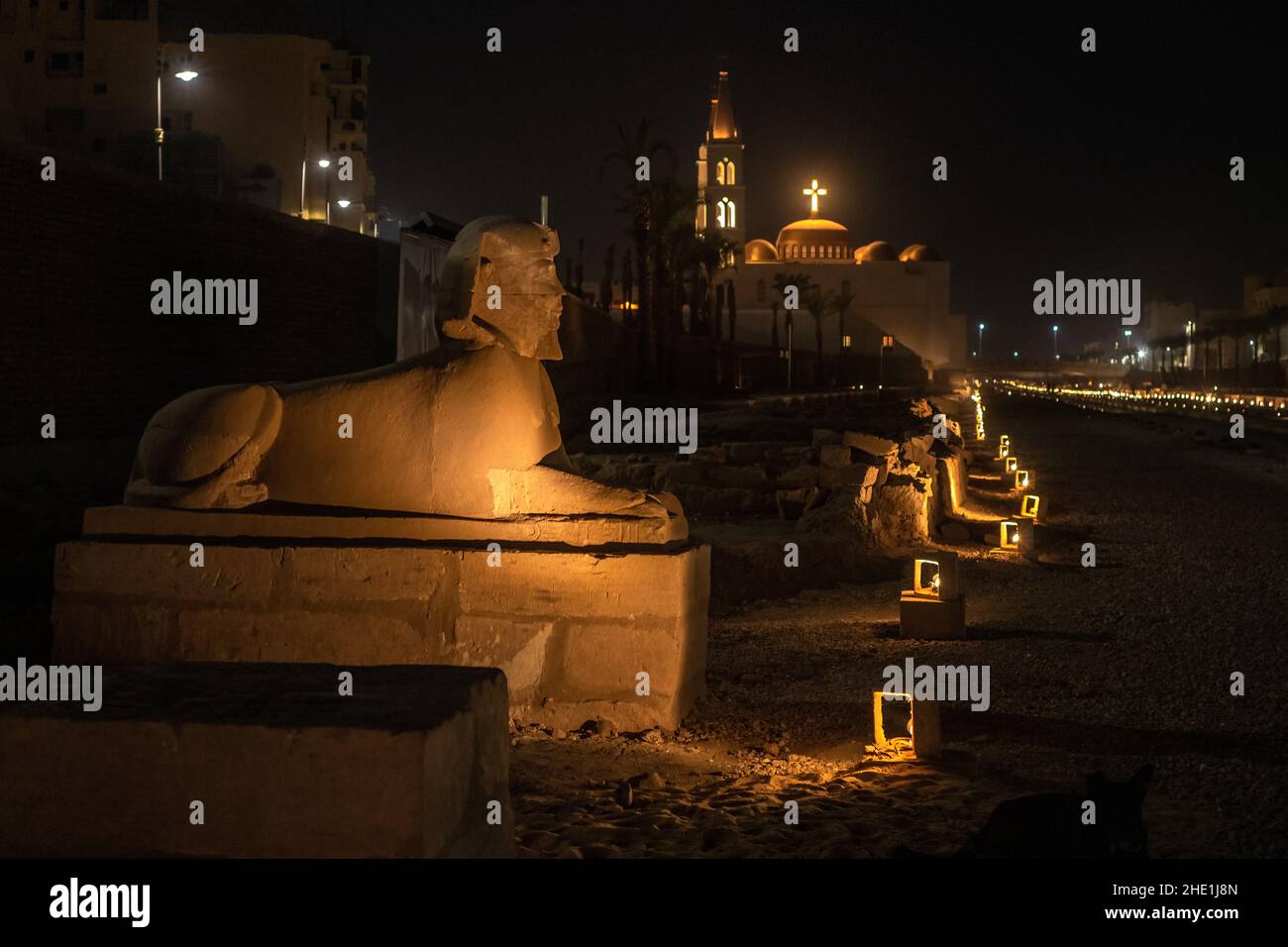 A sphinx on the avenue of the sphinxes in Luxor, Egypt with St. Marys coptic church in the background. Both are illuminated with lights are night. Stock Photo