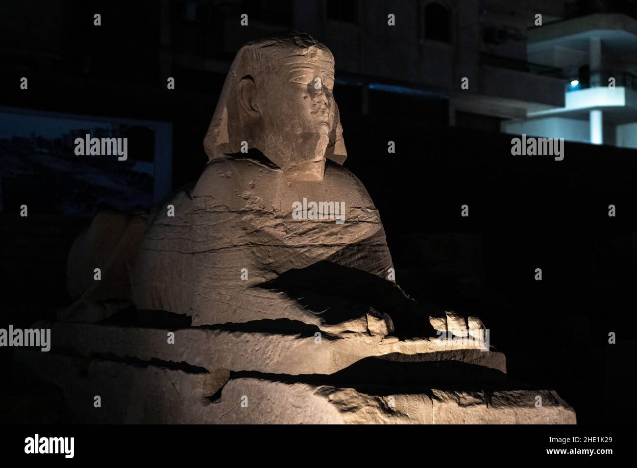 A statue of a sphinx, one of over 600 that stand along the rams road or avenue of the sphinxes connecting Luxor temple to Karnak in Egypt. Stock Photo