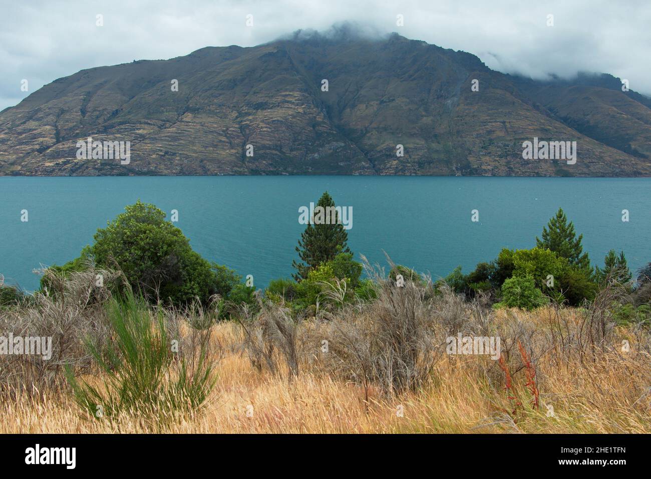 View of Lake Wakatipu from Seven Mile Point in Otago on South Island of ...