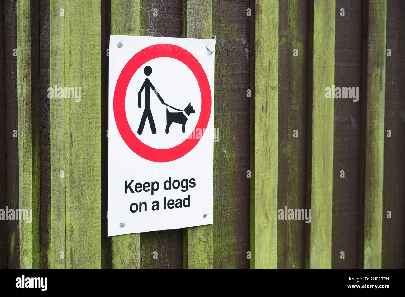 should dogs be kept on a lead in public places