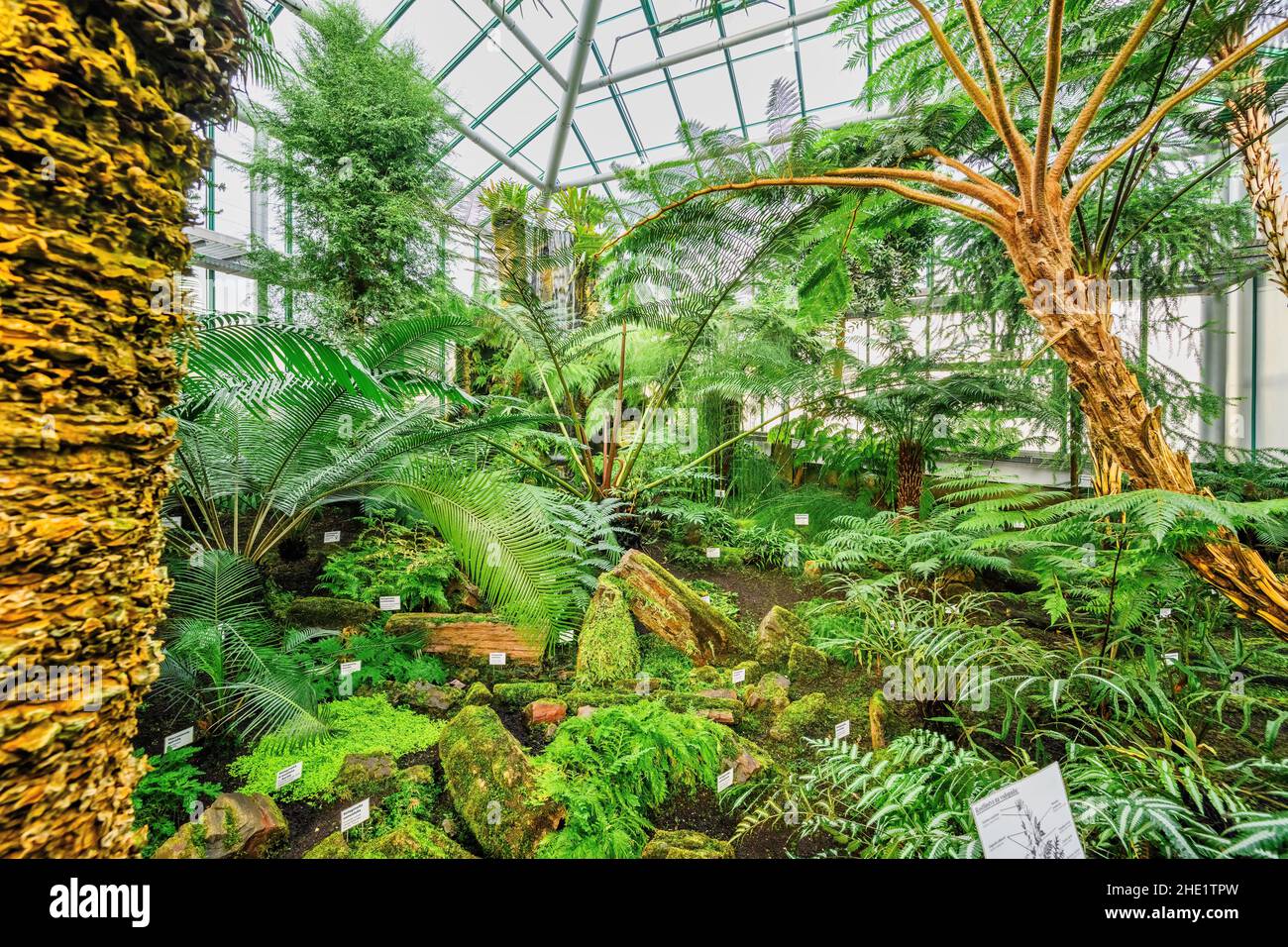 Botanical garden in Liberec, the city of the Czech Republic Stock Photo
