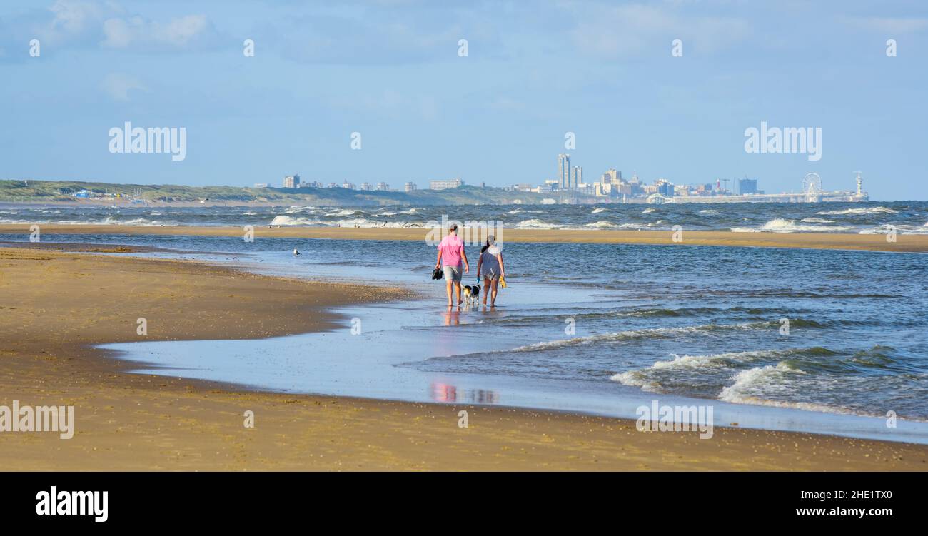 People walking with a dog on the Scheveningen sand beach on the North sea coast by the Hague city, South Holland, Netherlands Stock Photo