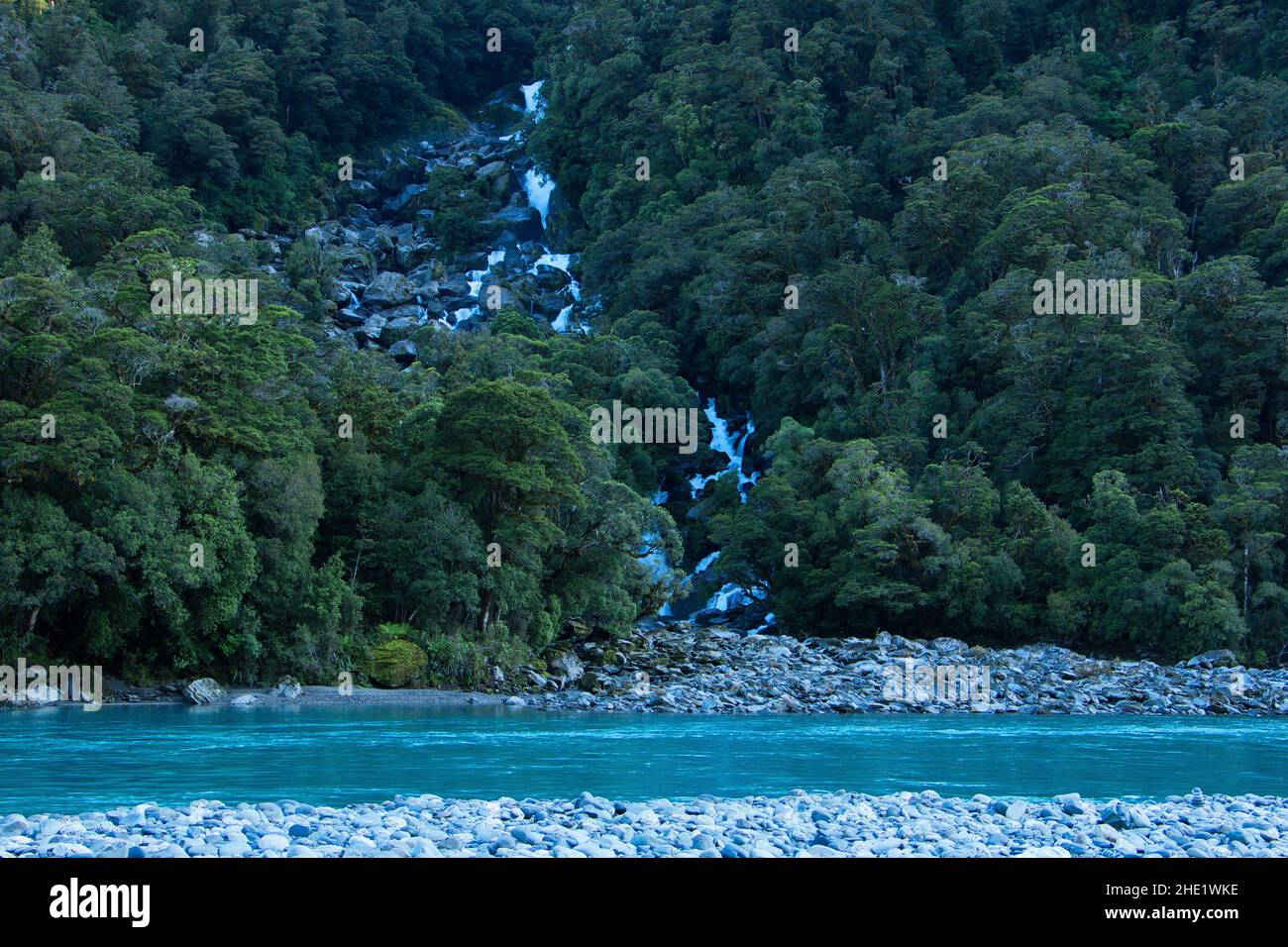 Roaring Billy Falls in Mount Aspiring National Park,West Coast on South Island of New Zealand Stock Photo