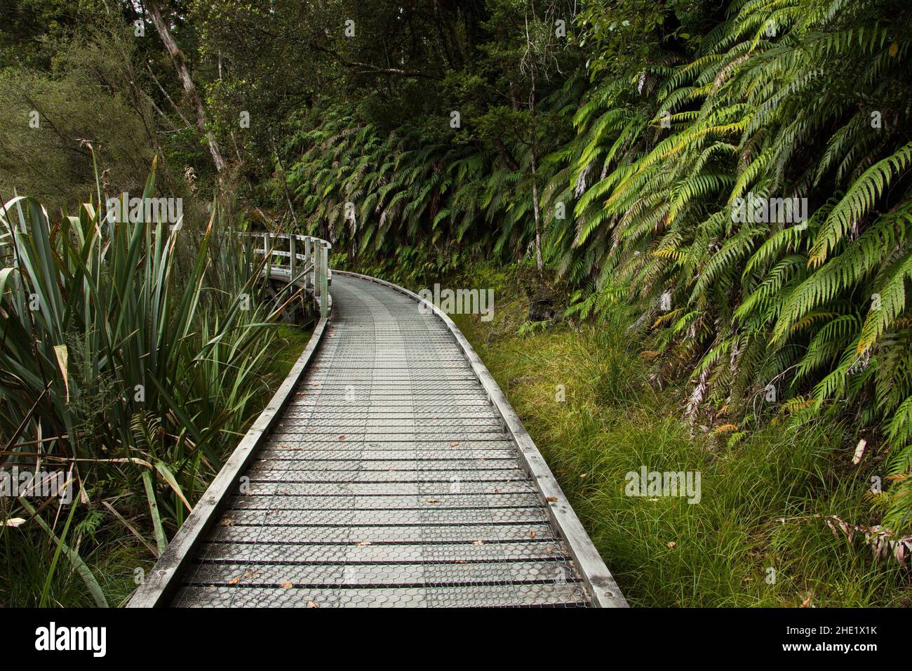 Lake Matheson Walk in West Coast on South Island of New Zealand Stock Photo Alamy Lake Matheson Walk in West Coast on South Island of New Zealand Stock Photo Alamy