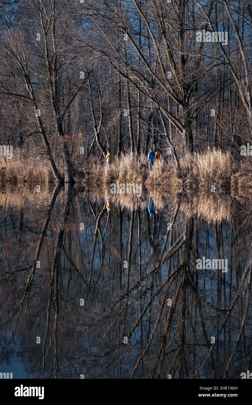 Trees are reflected in the water at a lake Stock Photo - Alamy