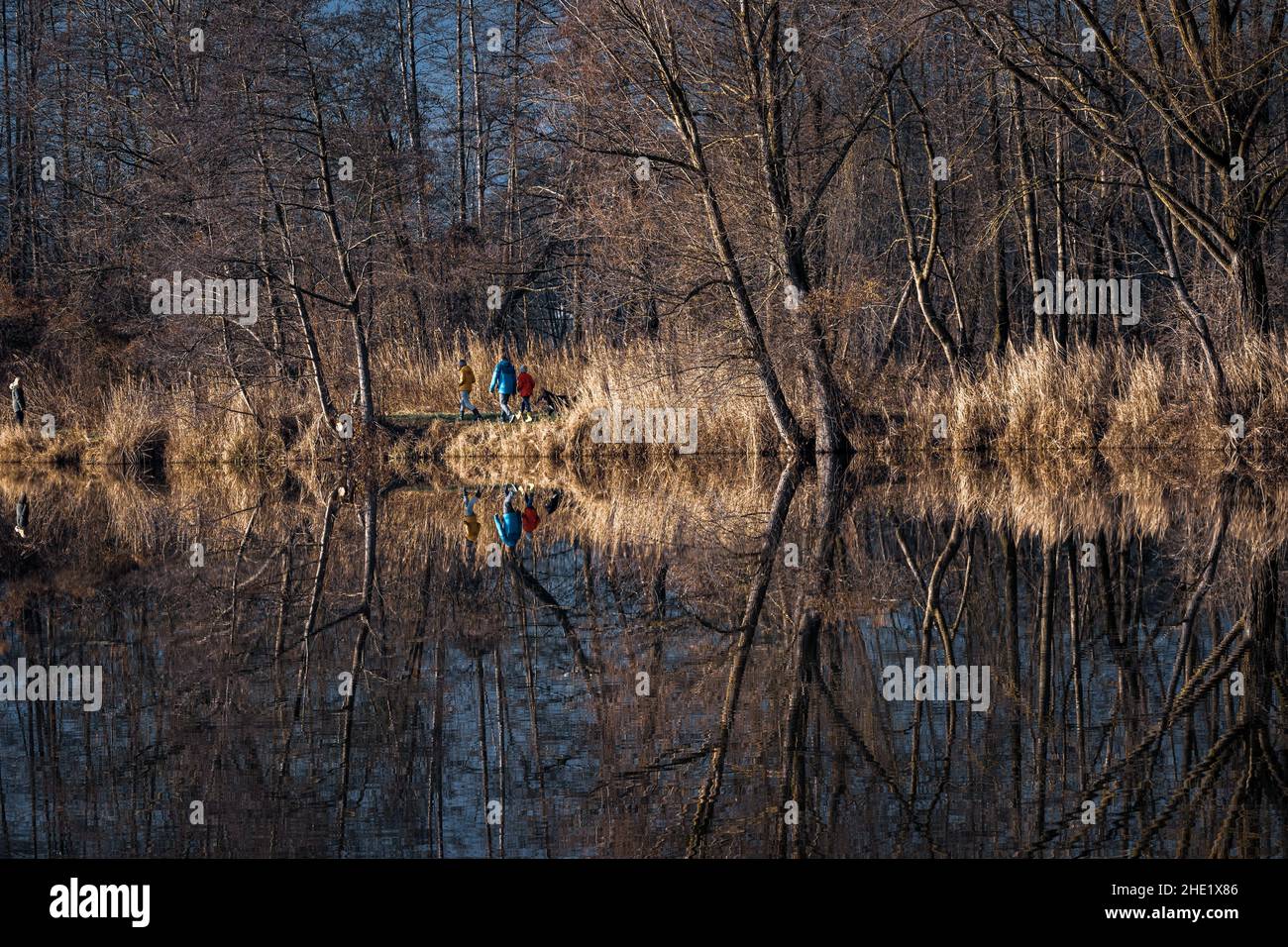 Trees are reflected in the water at a lake Stock Photo - Alamy