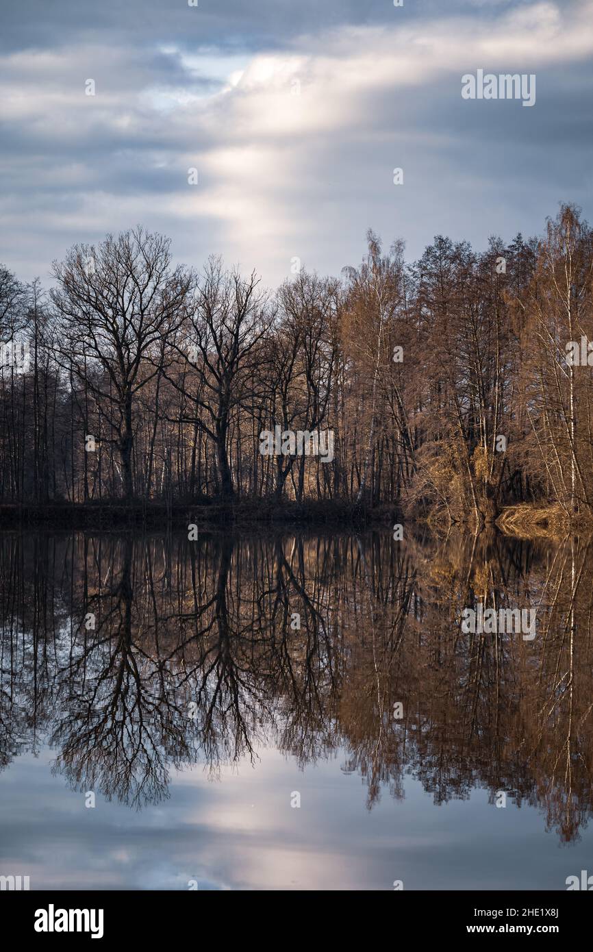 Trees are reflected in the water at a lake Stock Photo - Alamy