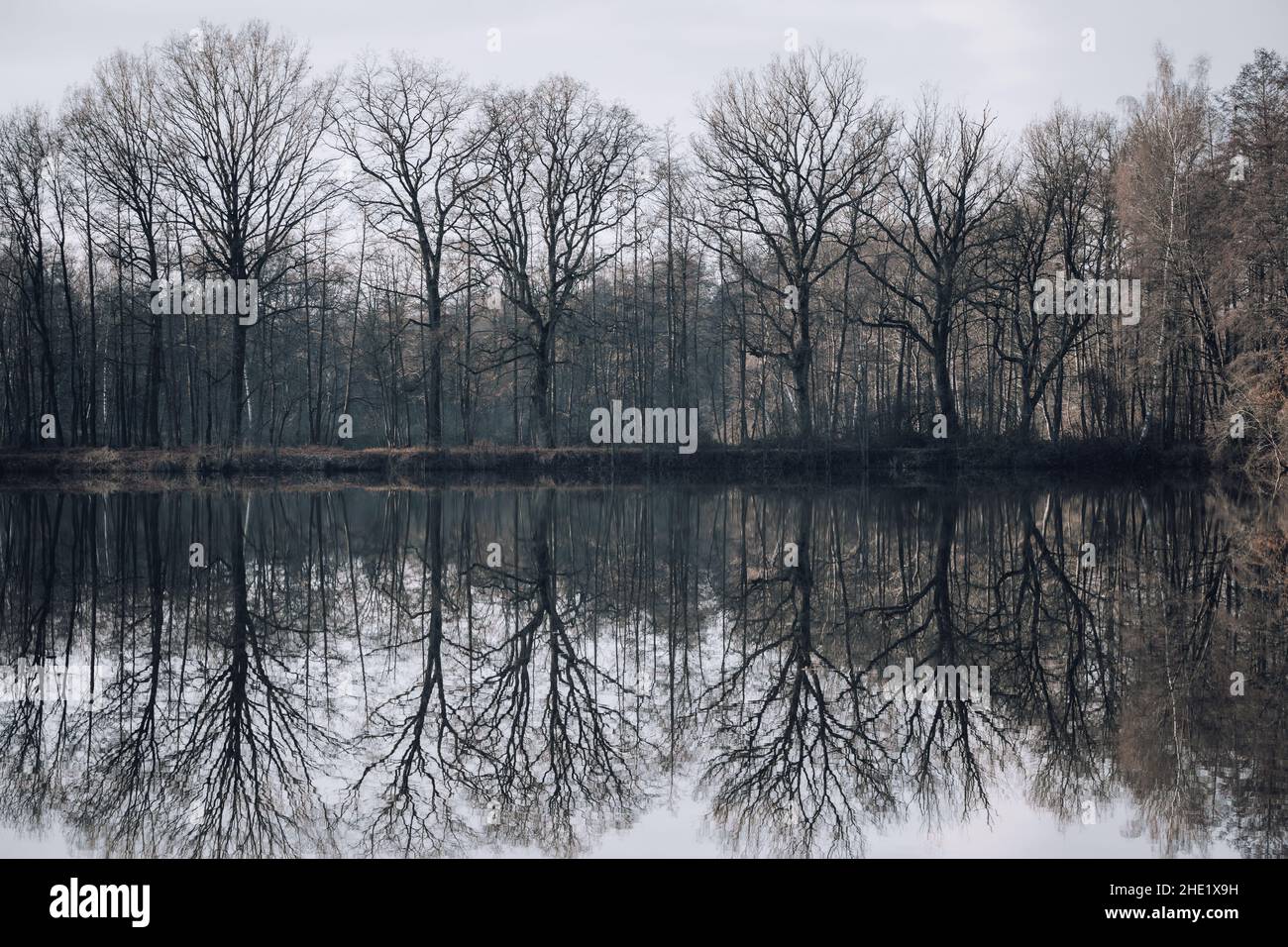 Trees are reflected in the water at a lake Stock Photo - Alamy