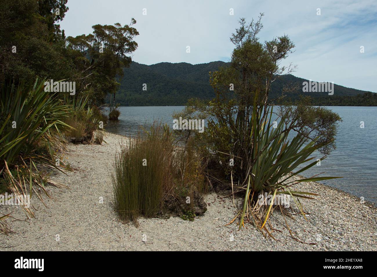 Lake Kaniere at Canoe Cove Walk on West Coast on South Island of New