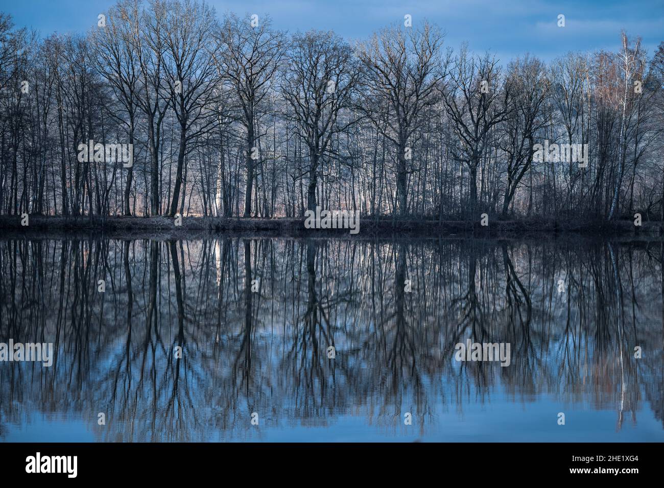 Trees are reflected in the water at a lake Stock Photo - Alamy