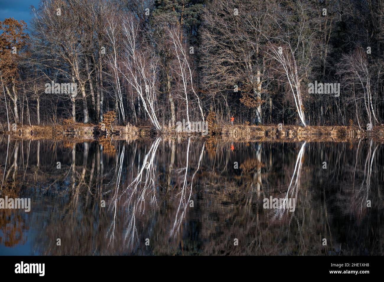 Trees are reflected in the water at a lake Stock Photo - Alamy