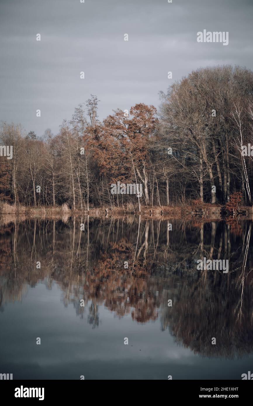 Trees are reflected in the water at a lake Stock Photo - Alamy