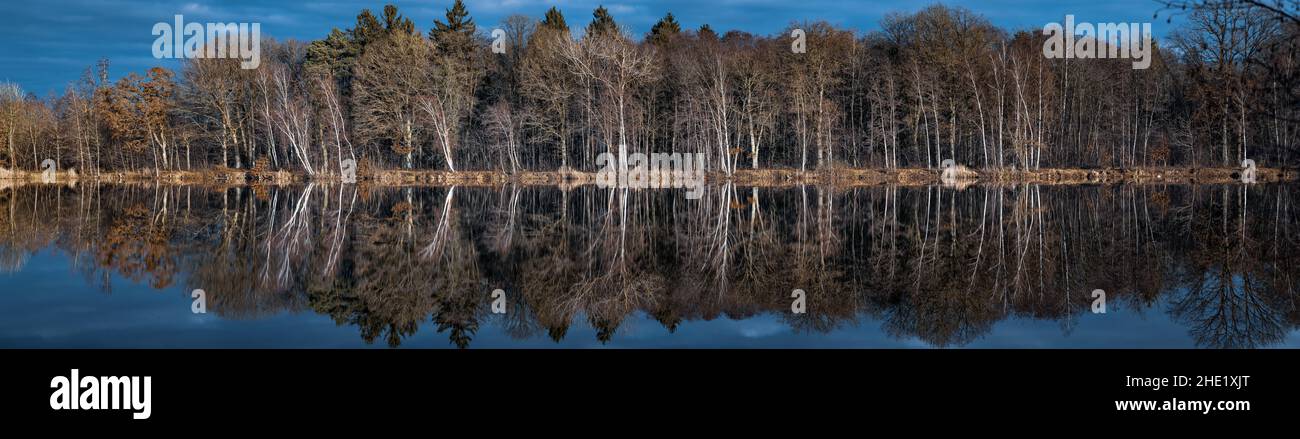 Trees are reflected in the water at a lake Stock Photo - Alamy