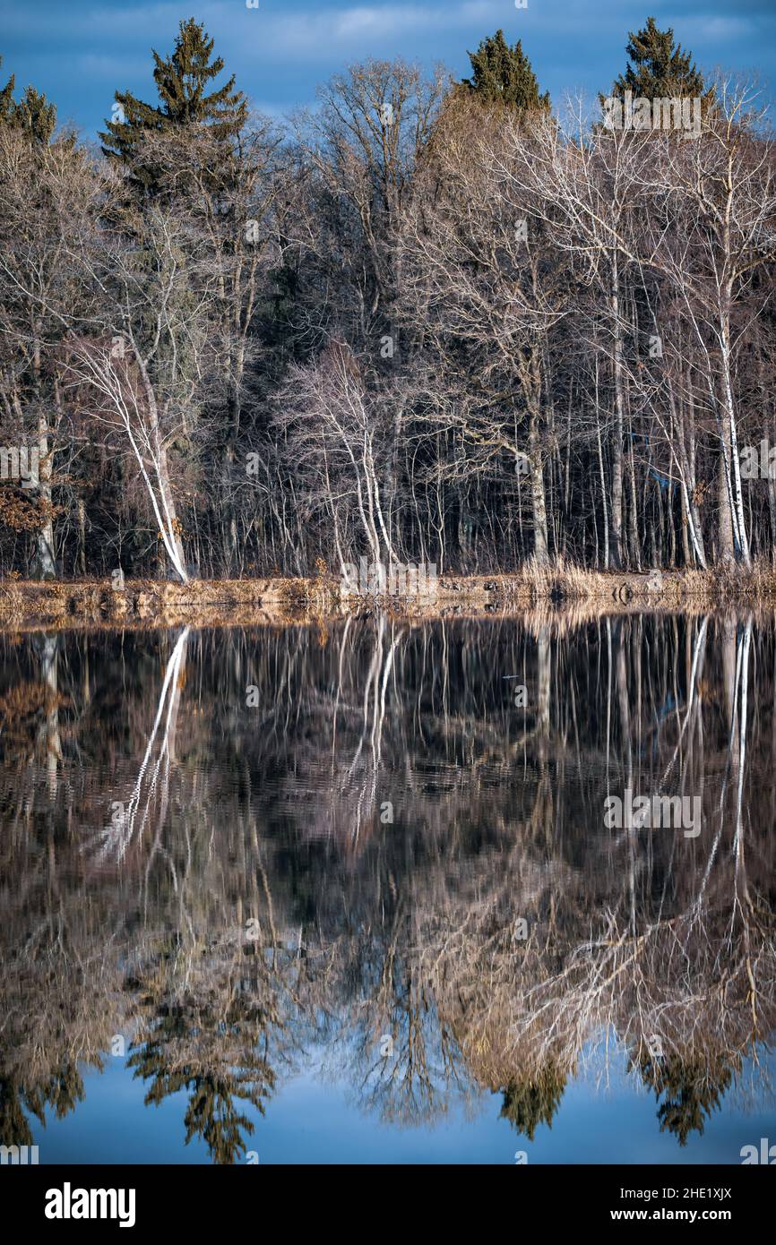 Trees are reflected in the water at a lake Stock Photo - Alamy