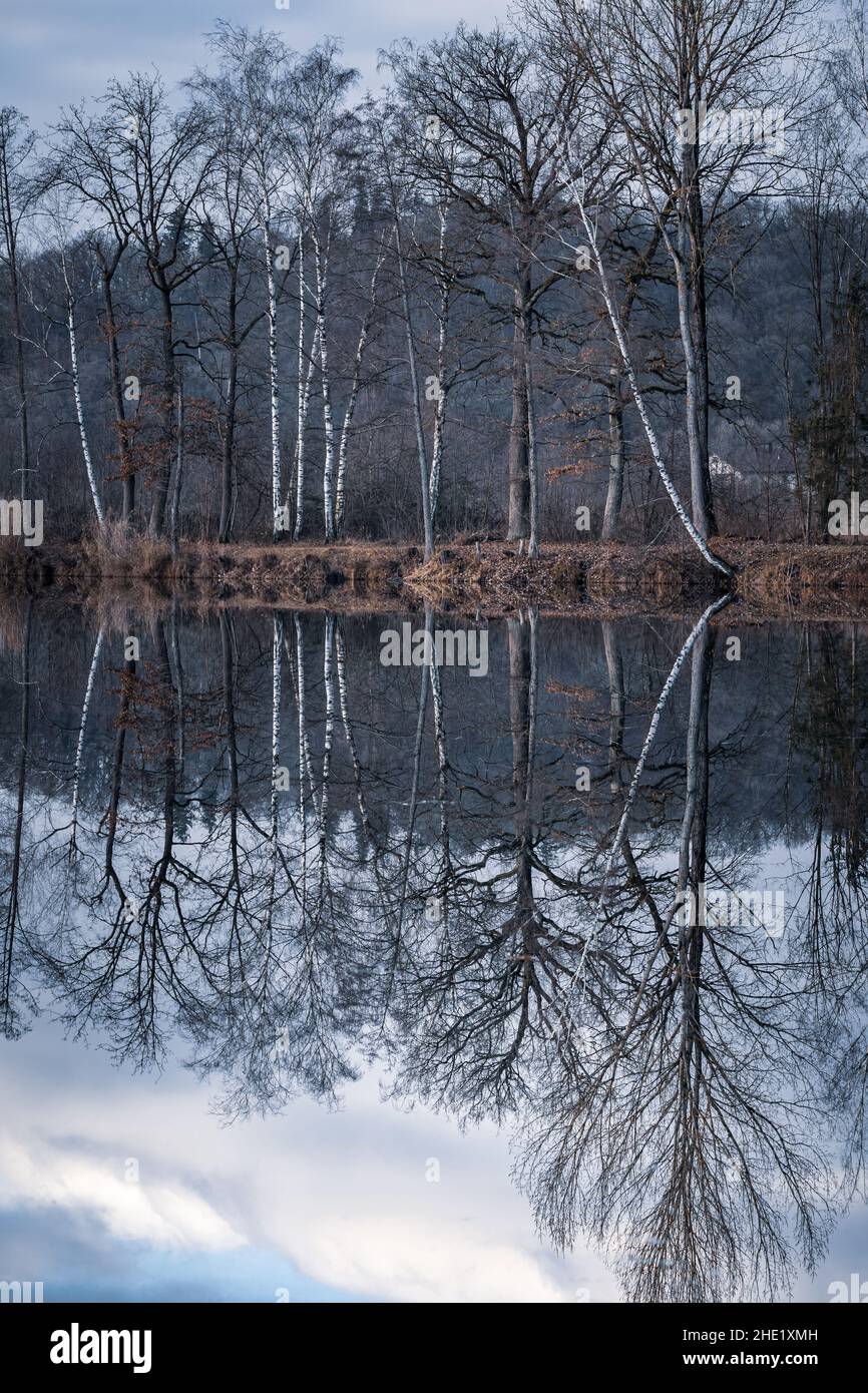 Trees are reflected in the water at a lake Stock Photo - Alamy
