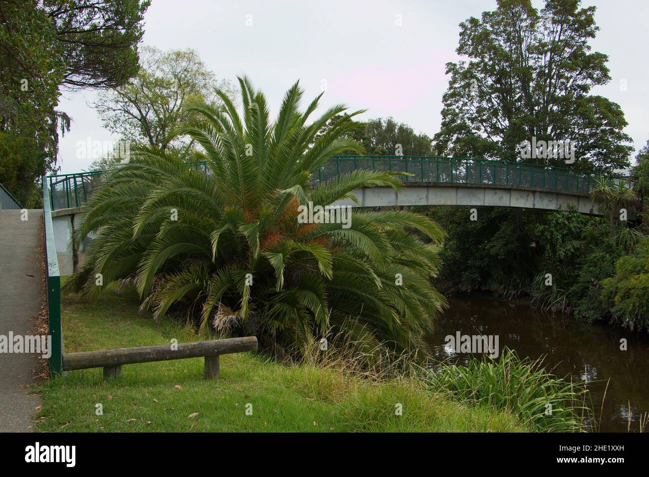Footbridge over Maitai River in Nelson,Tasman Region on South Island of New Zealand Stock Photo