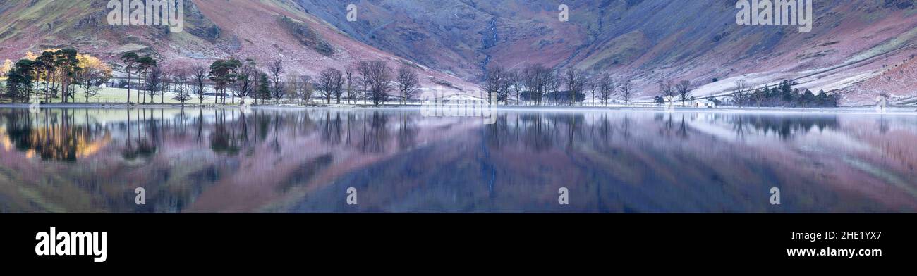 Trees and Reflections by Buttermere in The English Lake District Stock Photo