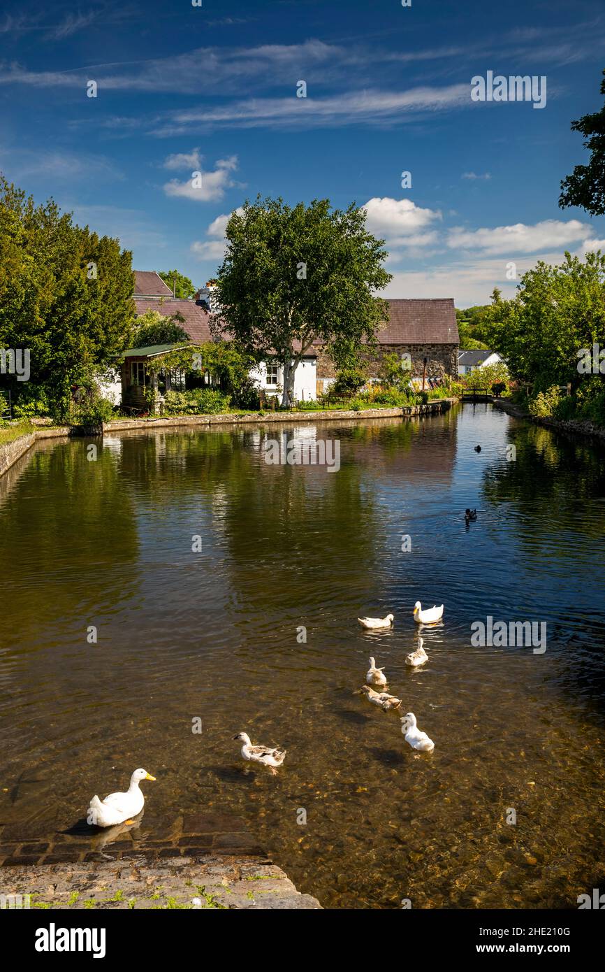UK, Wales, Pembrokeshire, Saint Dogmaels, Y Felin mill pond restored in