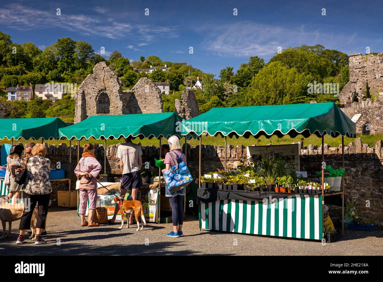 UK, Wales, Pembrokeshire, Saint Dogmaels, weekly makers’ market by Abbey ruins Stock Photo