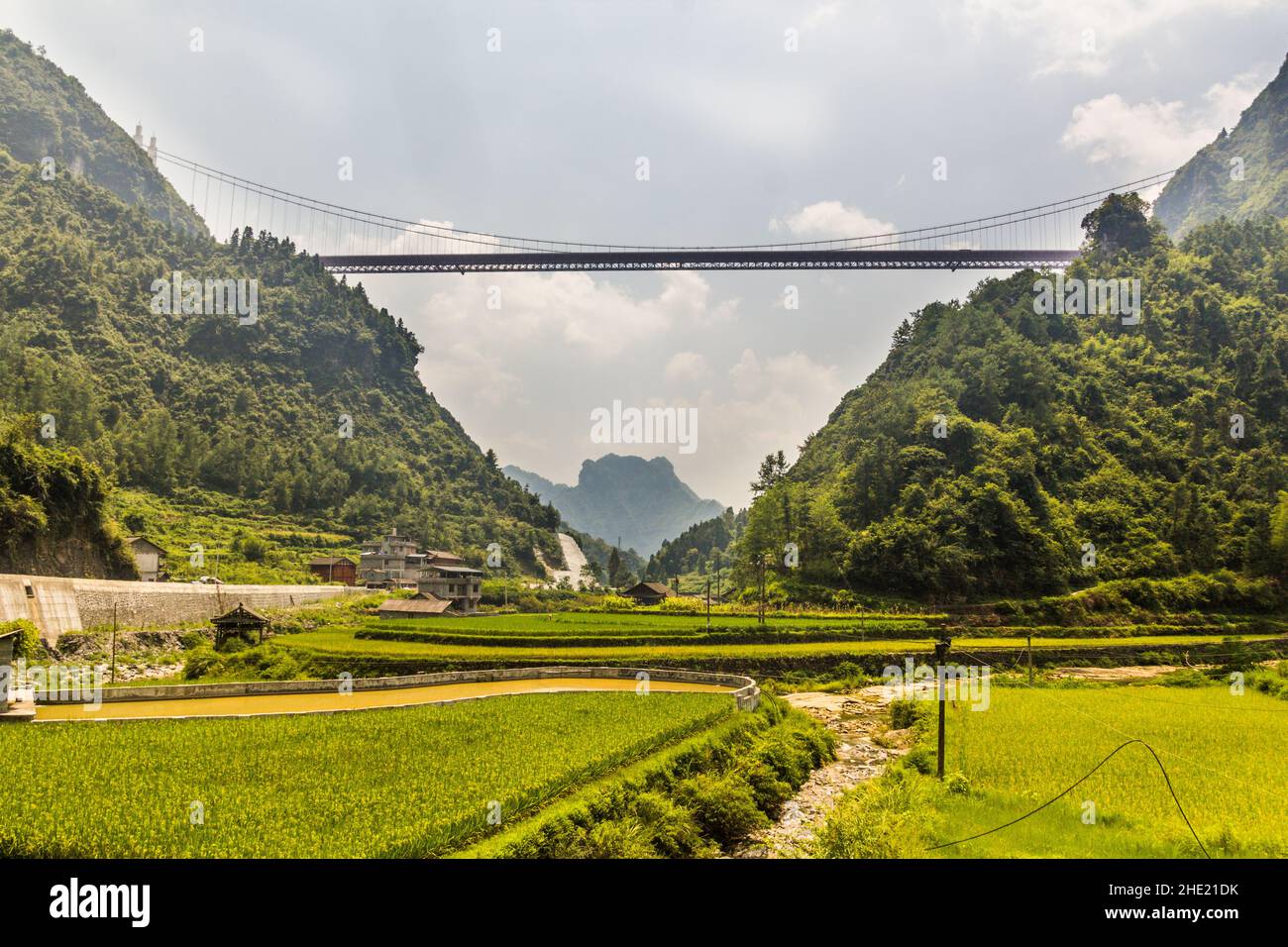 Aizhai suspension bridge and rice fields in Hunan province, China Stock