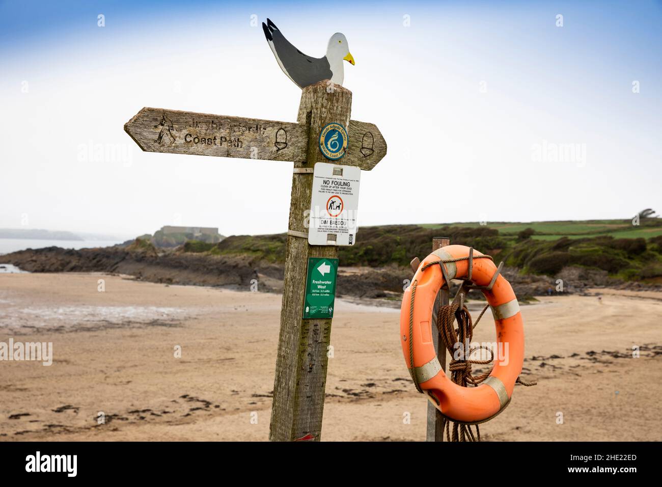 UK, Wales, Pembrokeshire, Angle, wooden seagull on Coast Path sign Stock Photo