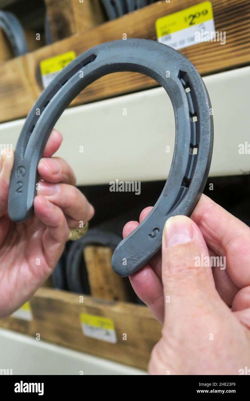 Hands holding a horseshoe in a Western store, USA Stock Photo Alamy