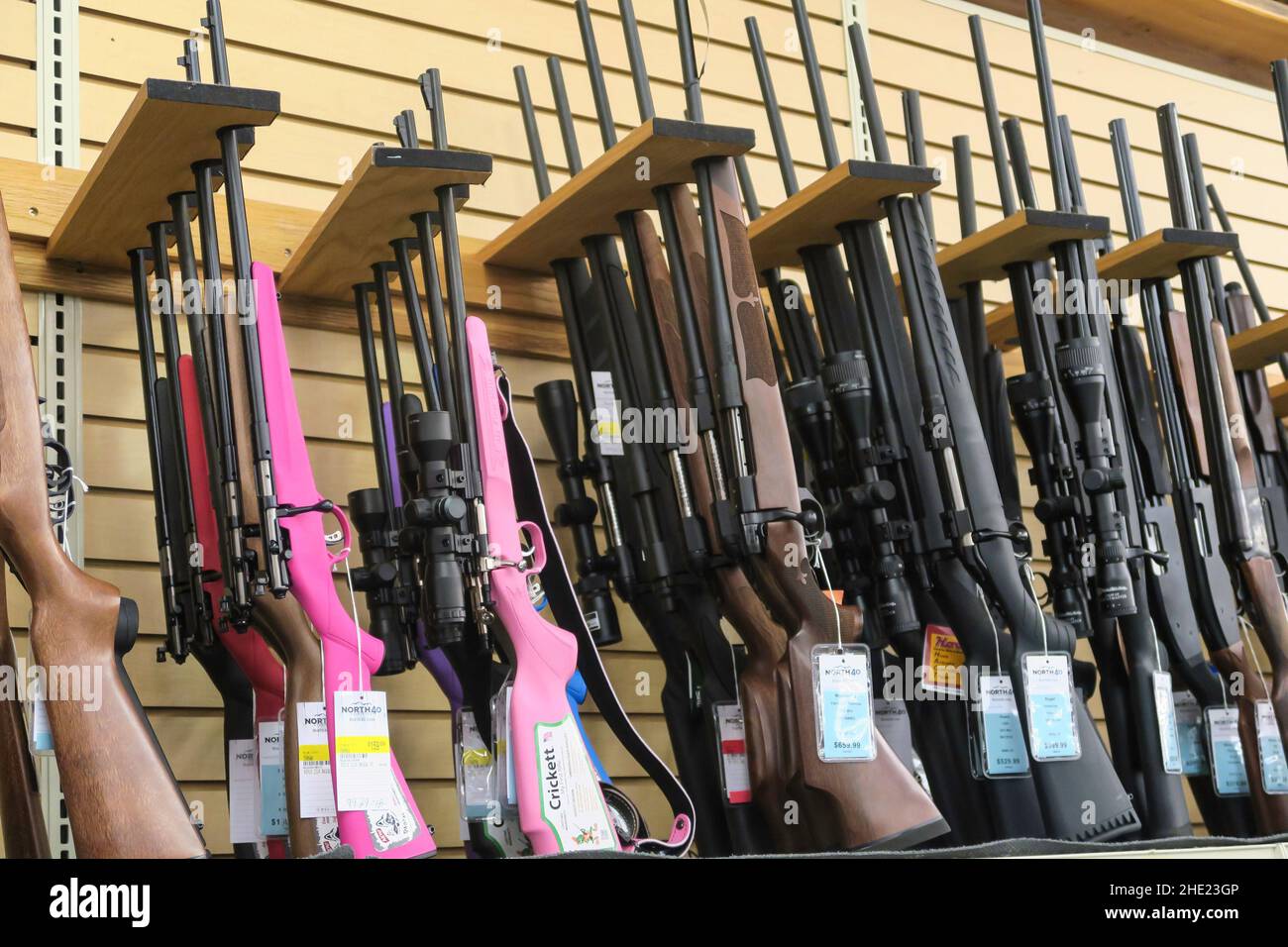 Rifle Aisle in a Sporting Goods Store in the Western United States