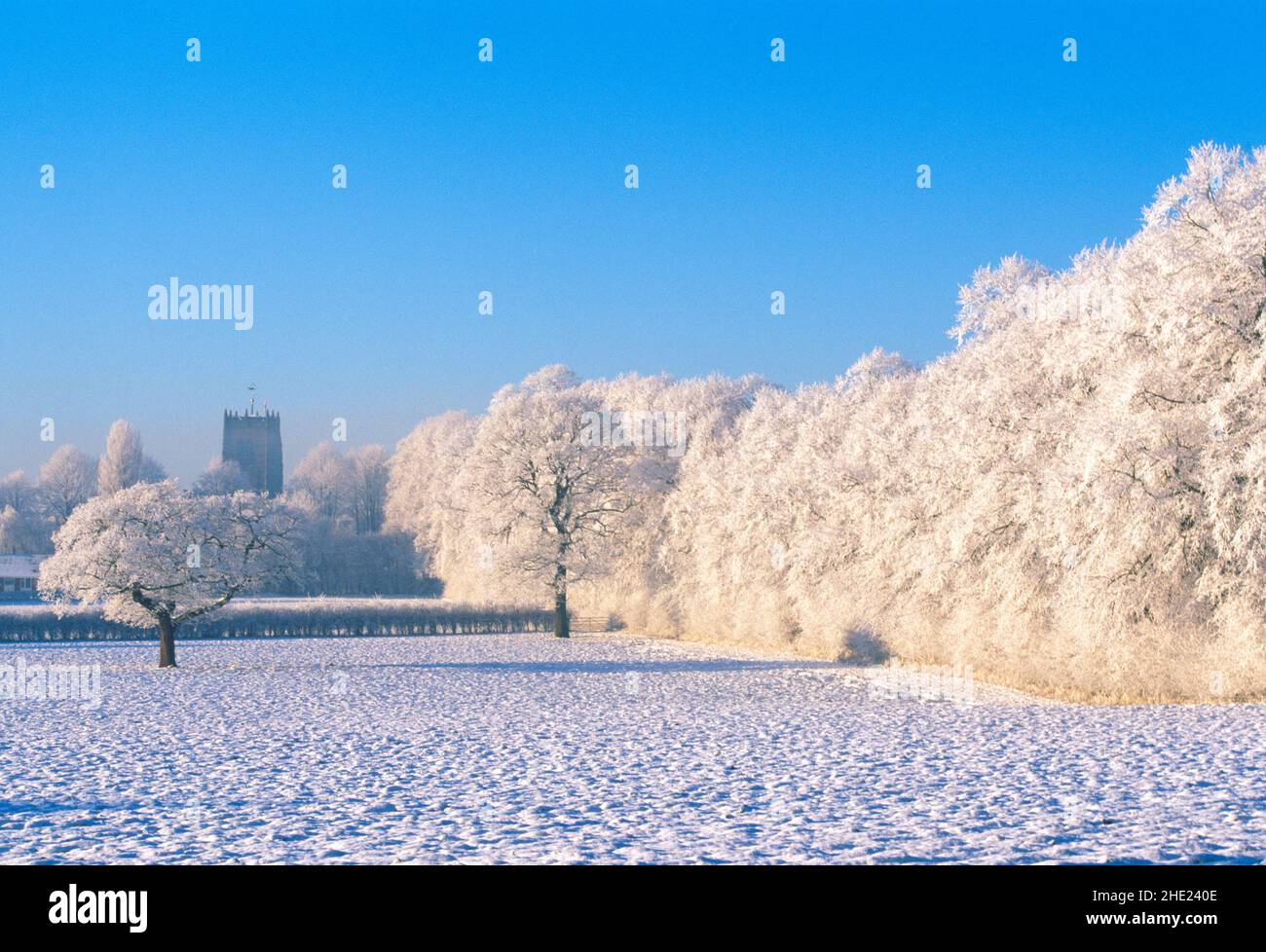 UK, England, Cheshire, Great Budworth, winter landscape, Stock Photo