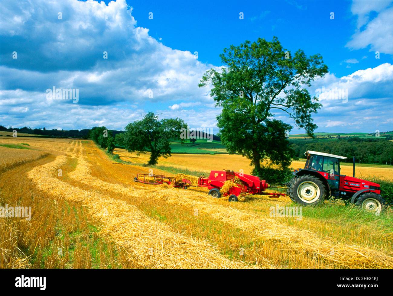 UK, harvesting straw, Stock Photo