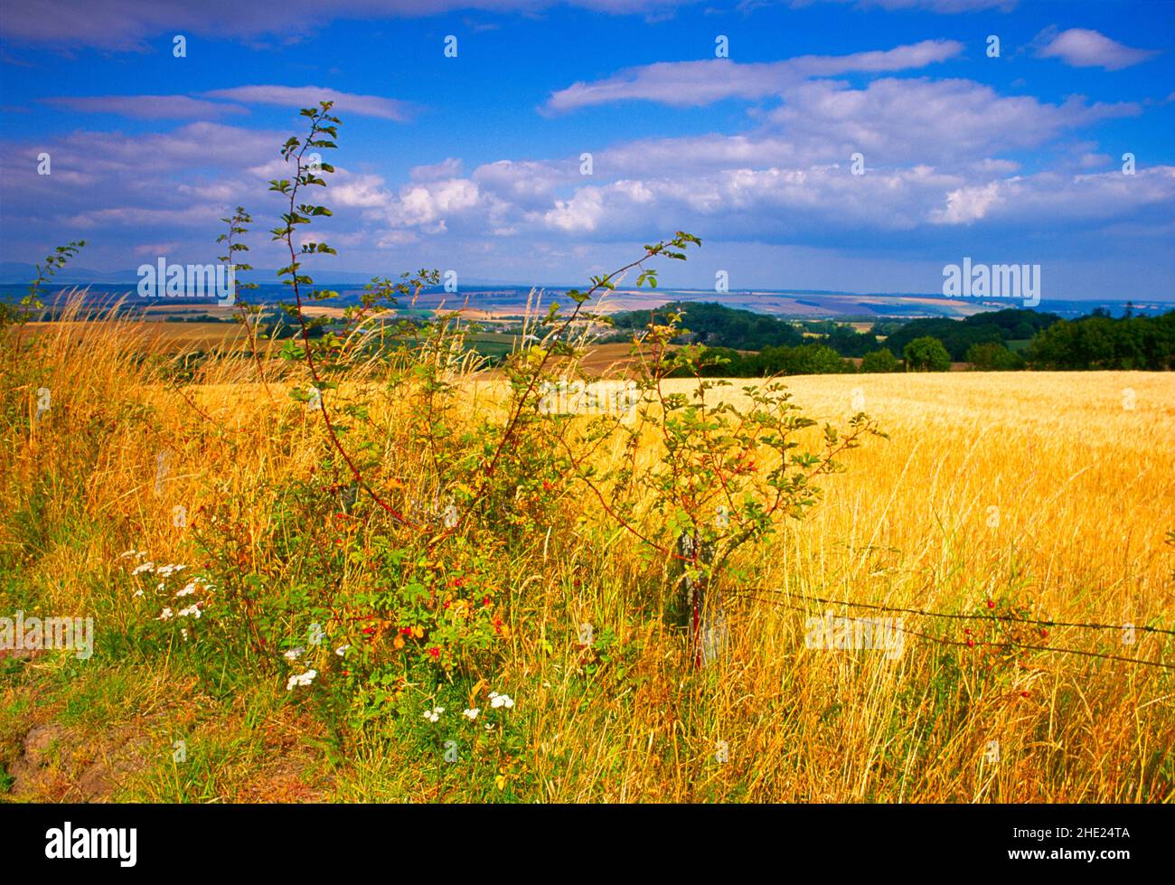 Scotland, Perthshire, landscape, Stock Photo
