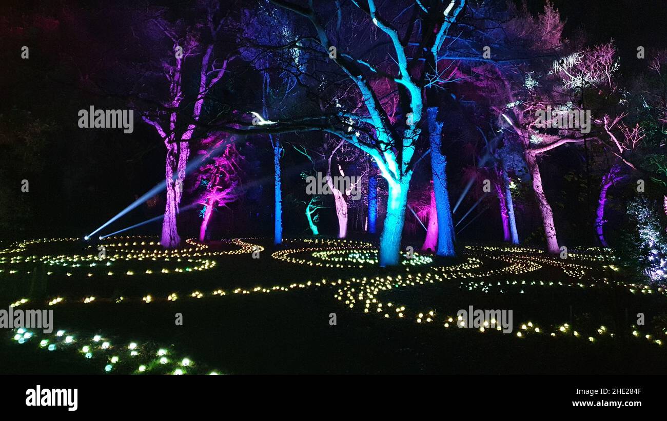 Christmas Light Trail, Botanic Gardens, Edinburgh Stock Photo Alamy