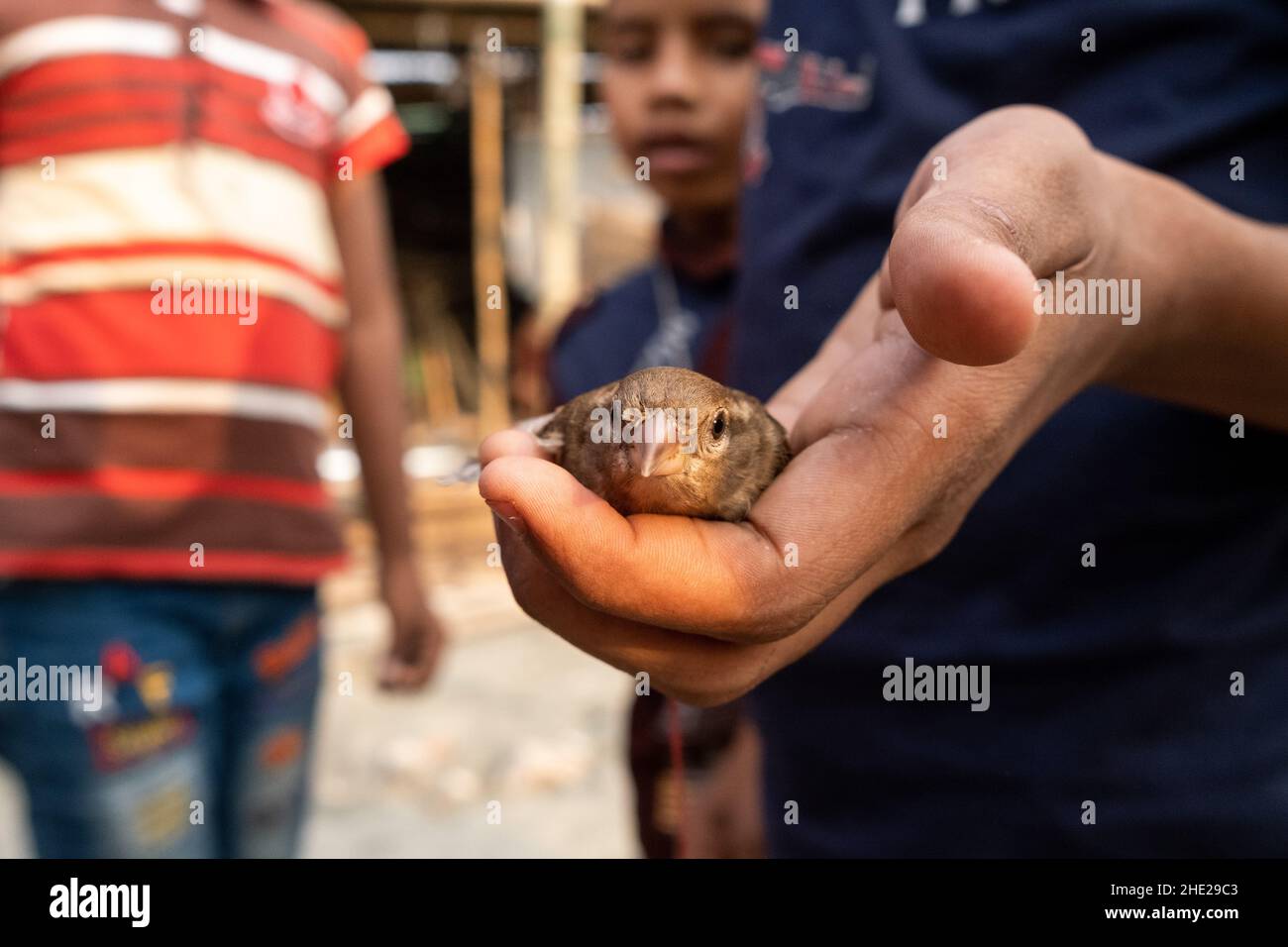Bangladesh, Dhaka, Duari Para on 2021-10-22. The slum of Duari Para in Dhaka, the capital of Bangladesh, home to mainly climate migrants from the sout Stock Photo