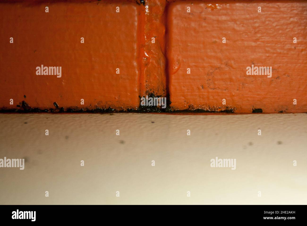 water leak causes mold in an apartment Stock Photo Alamy