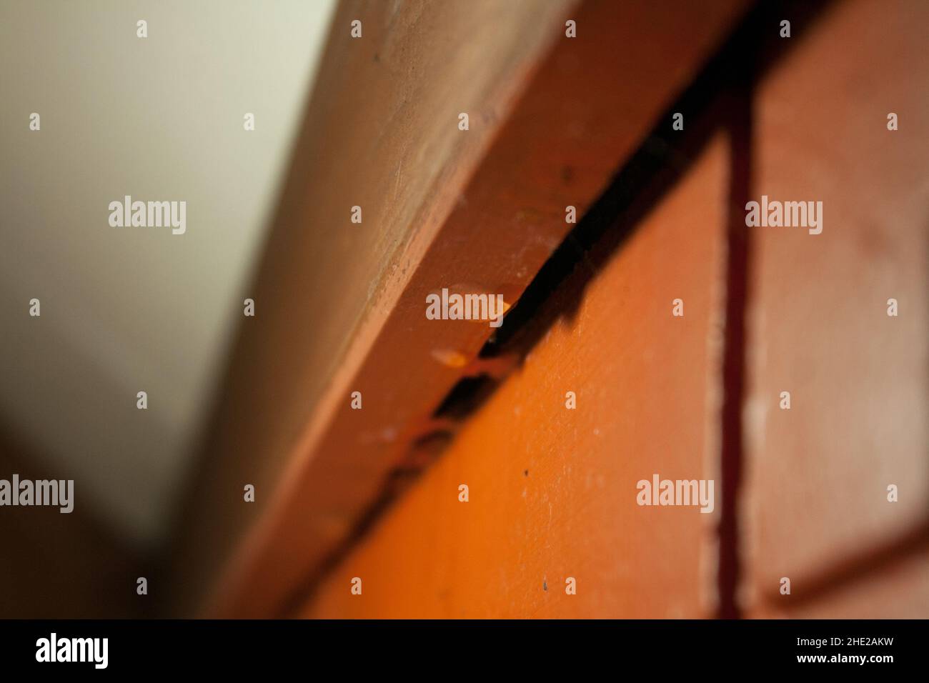water leak causes mold in an apartment Stock Photo Alamy
