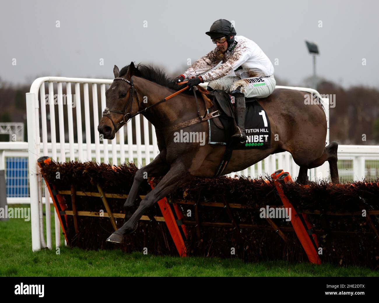 Constitution race hill horse hires stock photography and images Alamy