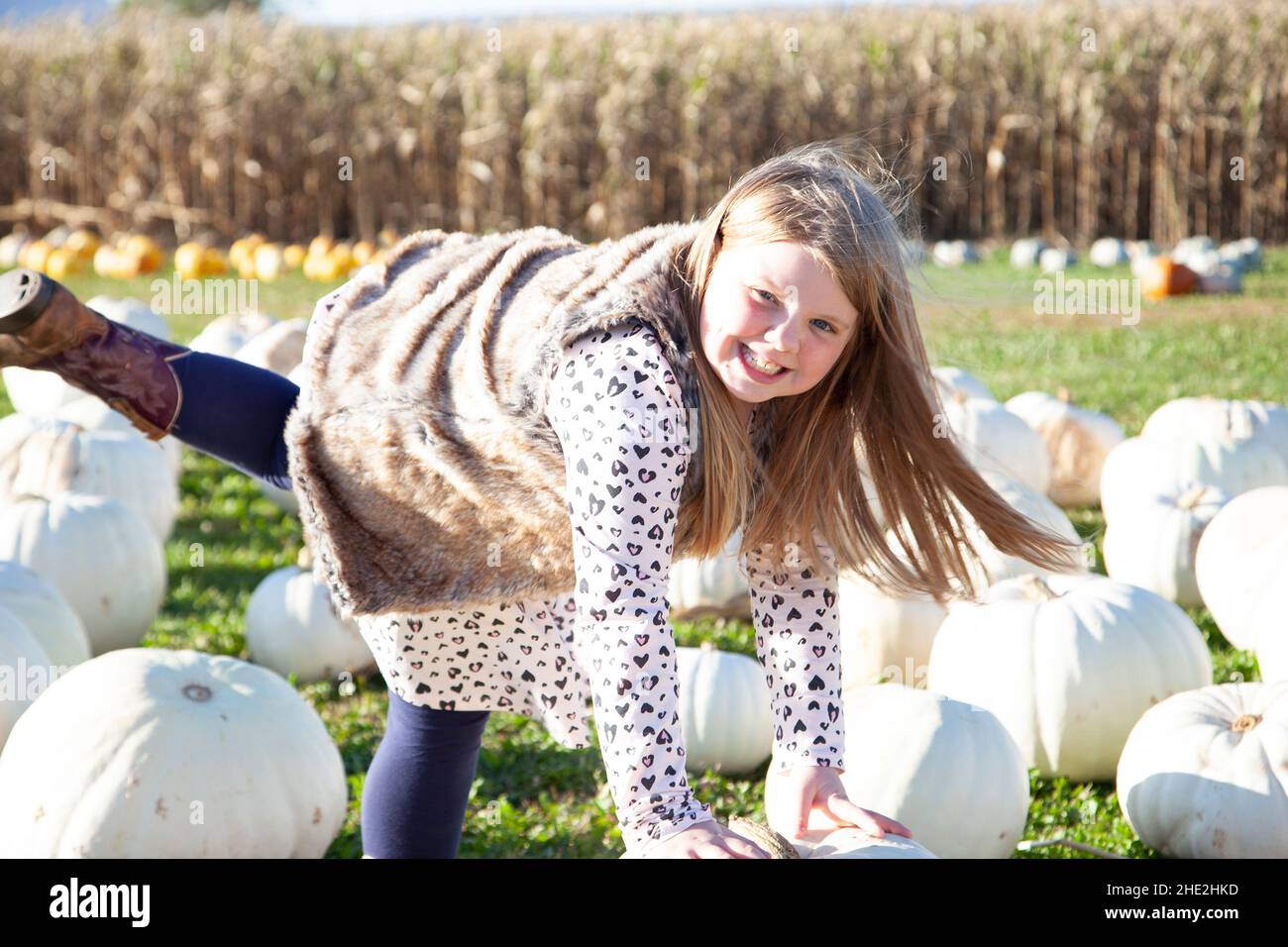 smiling young girl goofing around on a bunch of white pumpkins in a field Stock Photo