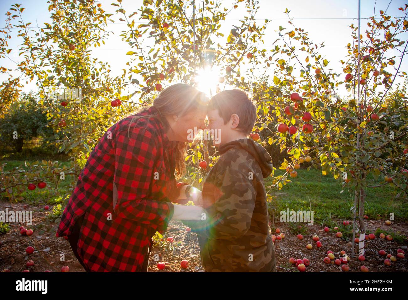 a red haired mother and her freckled son hold hands and laugh on their apple orchard Stock Photo