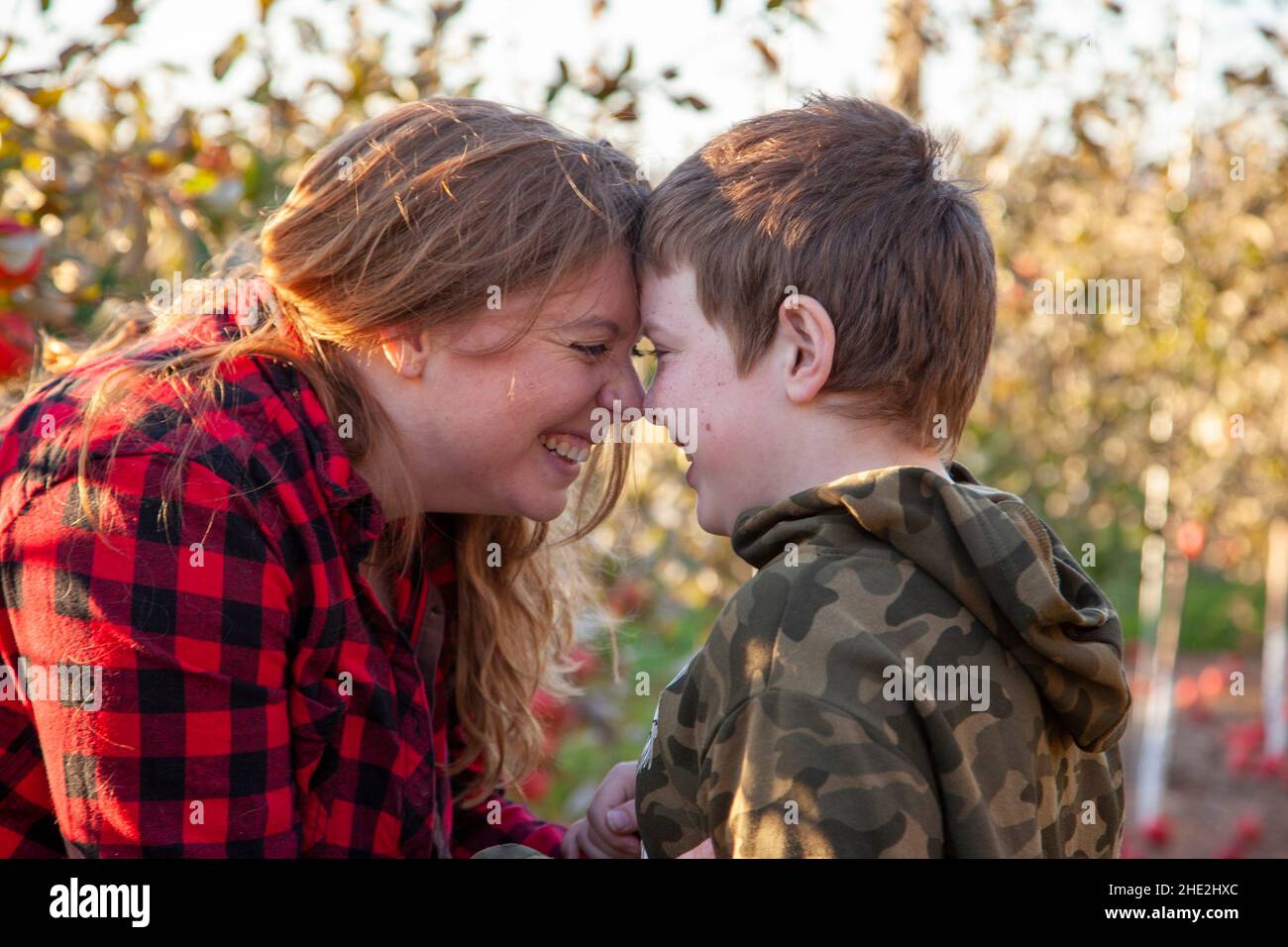 a son holds his face against his mothers in their apple orchard Stock Photo