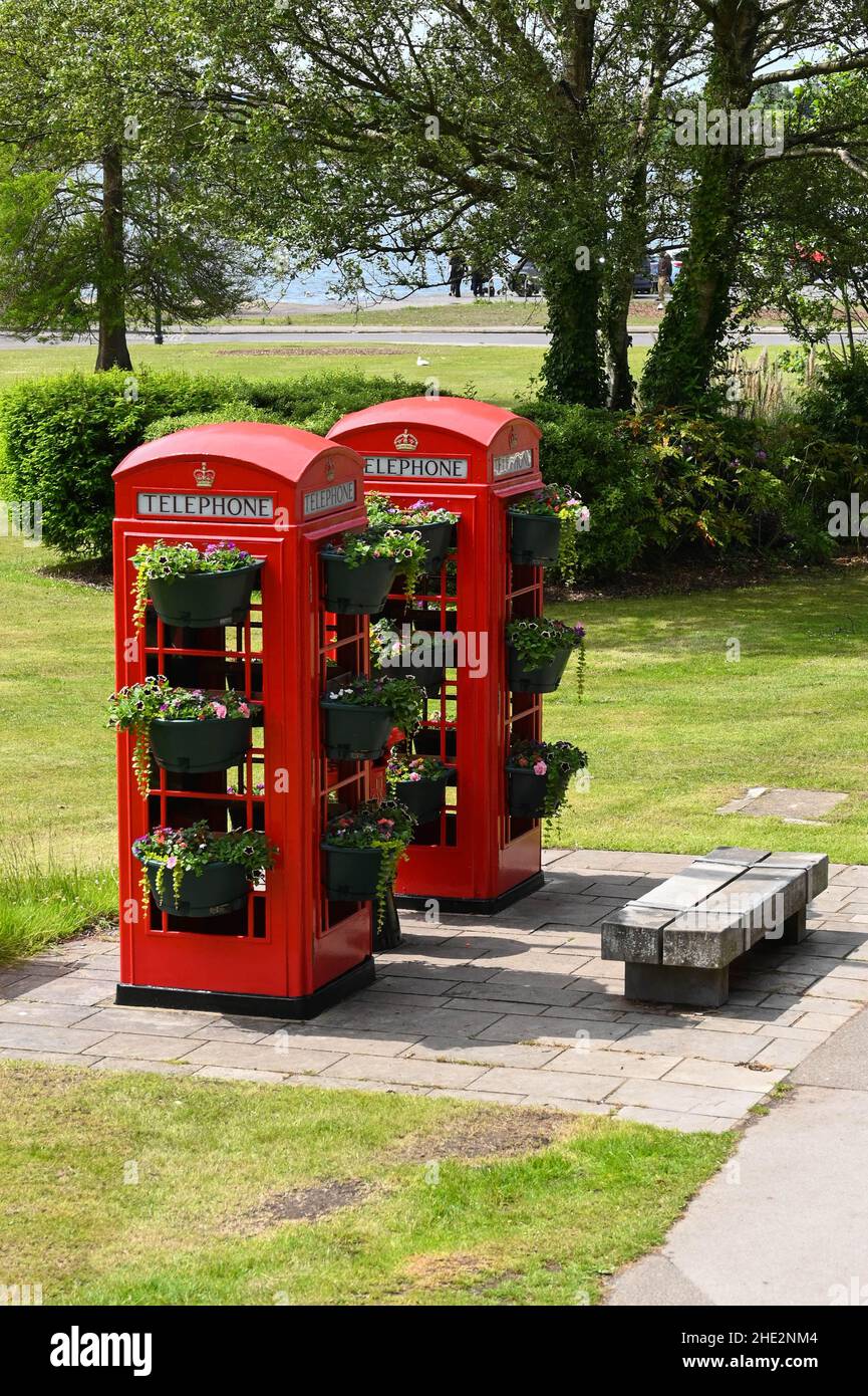 Poole, England - June 2021: Old fashioned red telephone boxes decorated with flower baskets near the town centre Stock Photo