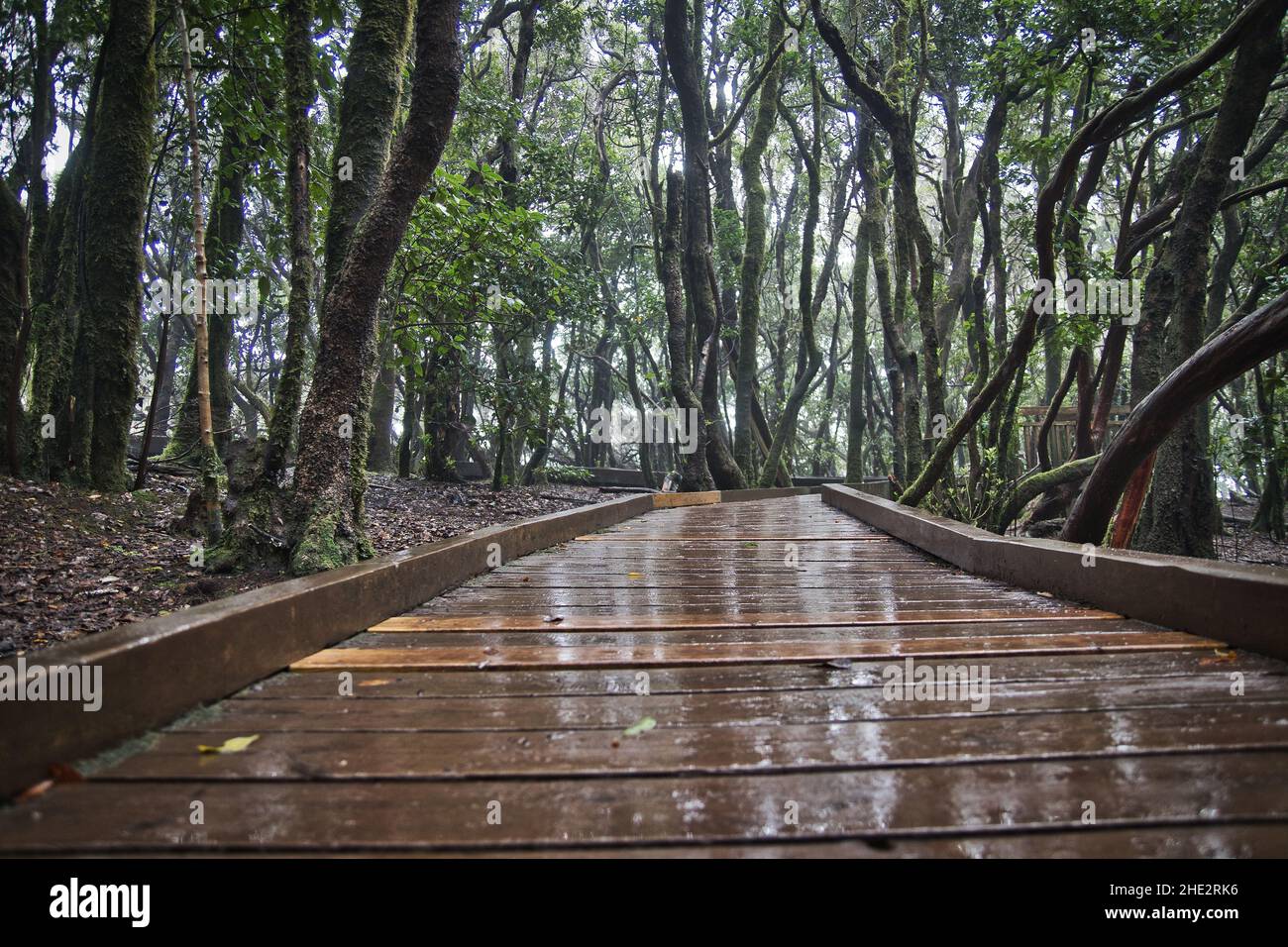 Anga rural park hi-res stock photography and images - Alamy