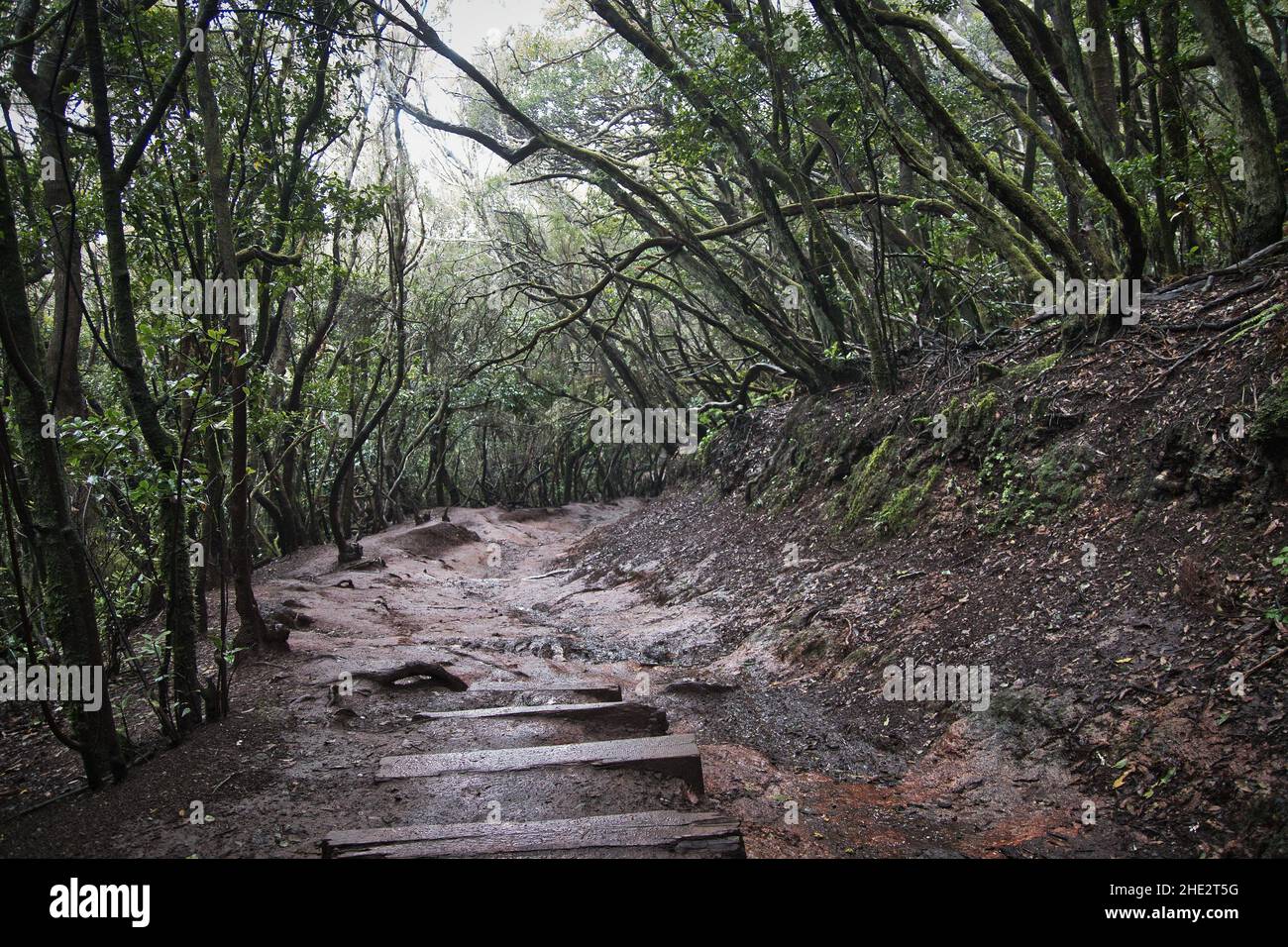 Anga rural park hi-res stock photography and images - Alamy