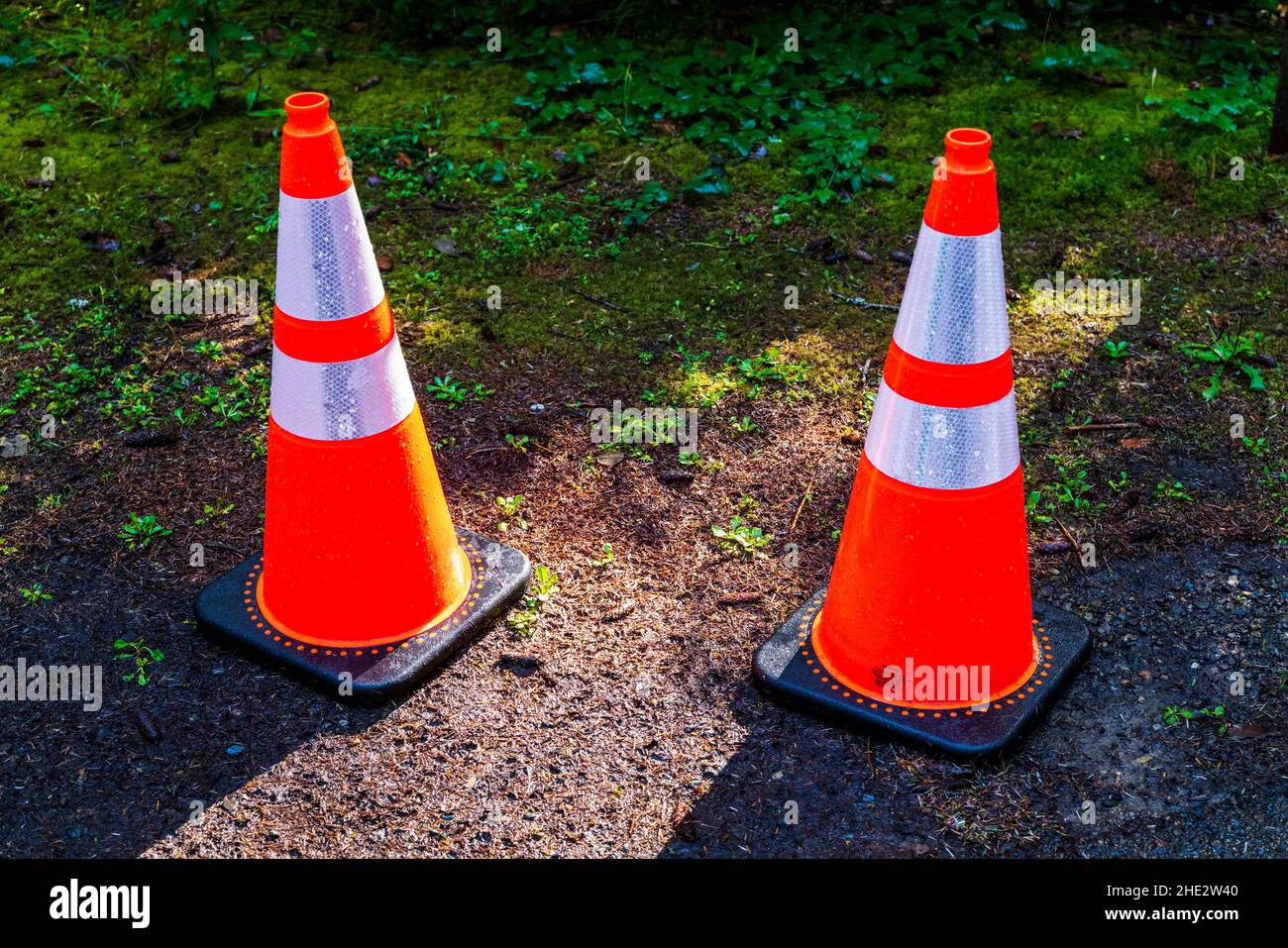 Fluorescent orange safety traffic cones; Jesse M. Honeyman Memorial State Park; near Florence; Oregon; USA Stock Photo