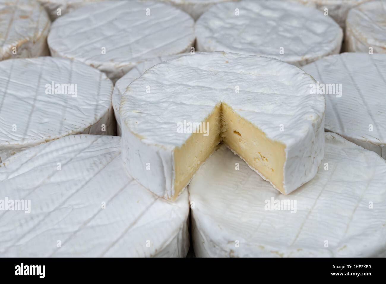 piling up of camemberts, famous cheese made in the Normandy region of France Stock Photo