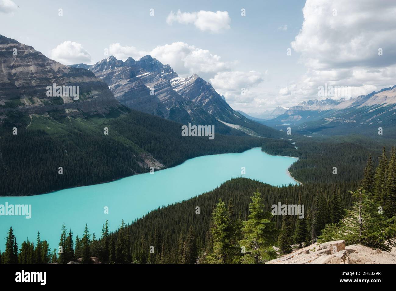 Peyto Lake during summer, Banff National Park, Alberta, Canada. Stock Photo