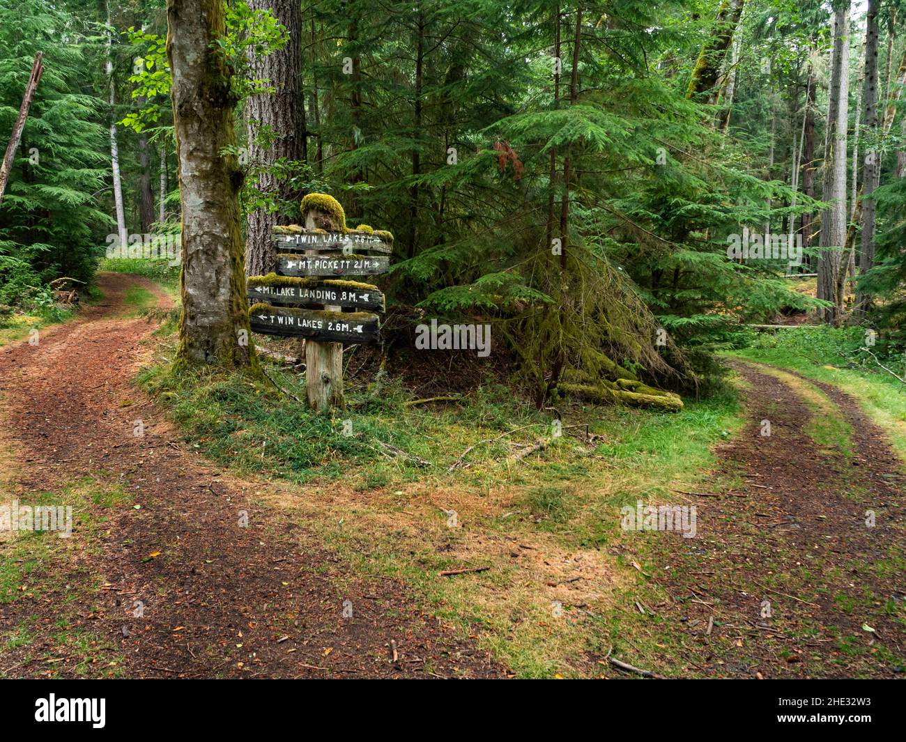 WA21031-00...WASHINGTON - Intersection of two old forest roads now serving as hiking and biking trails in Moran State Park on Orcas Island. Stock Photo