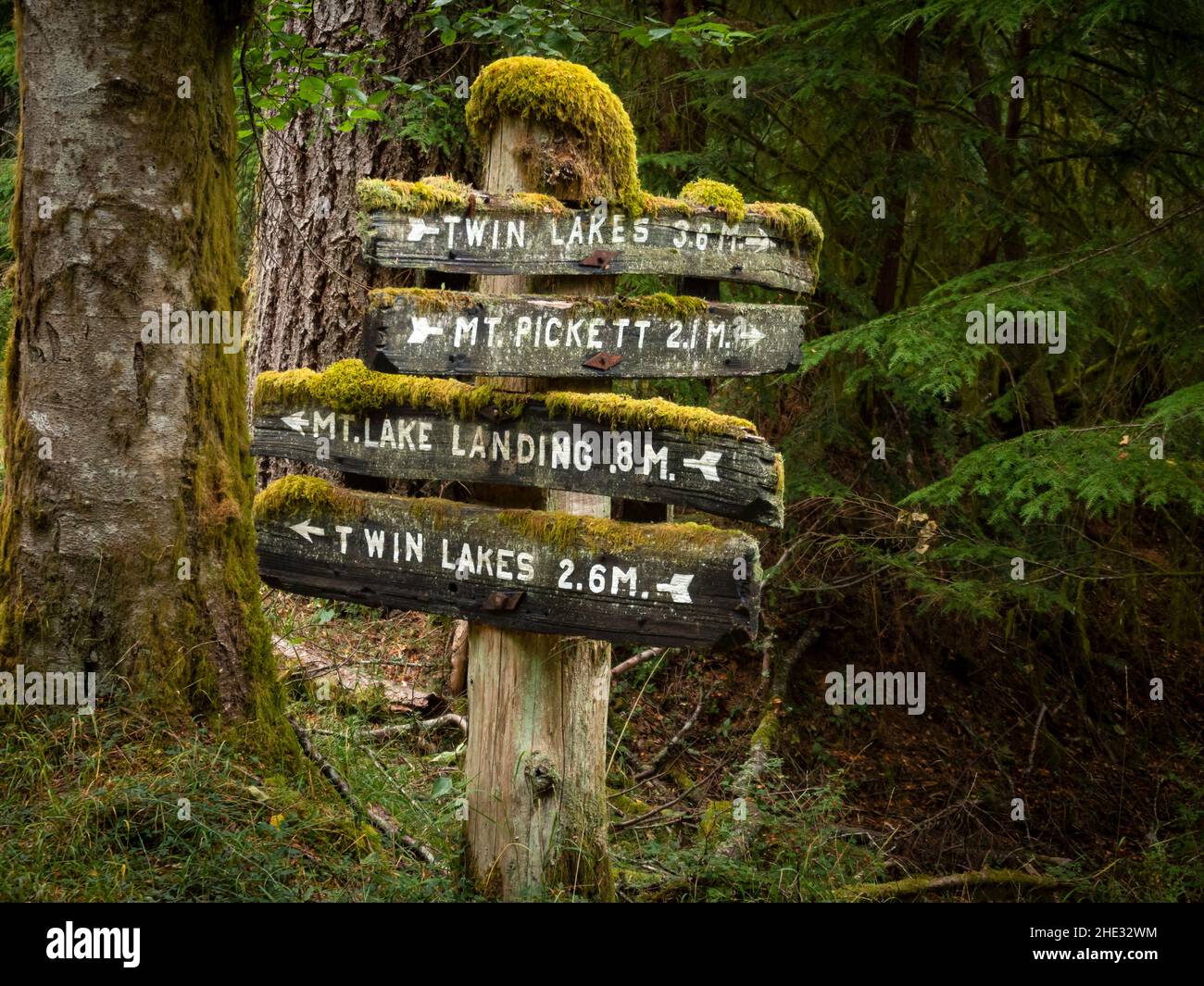 WA21032-00...WASHINGTON - Moss covered trail sign in the forest at Moran State Park on Orcas Island; one of the San Juan Islands. Stock Photo