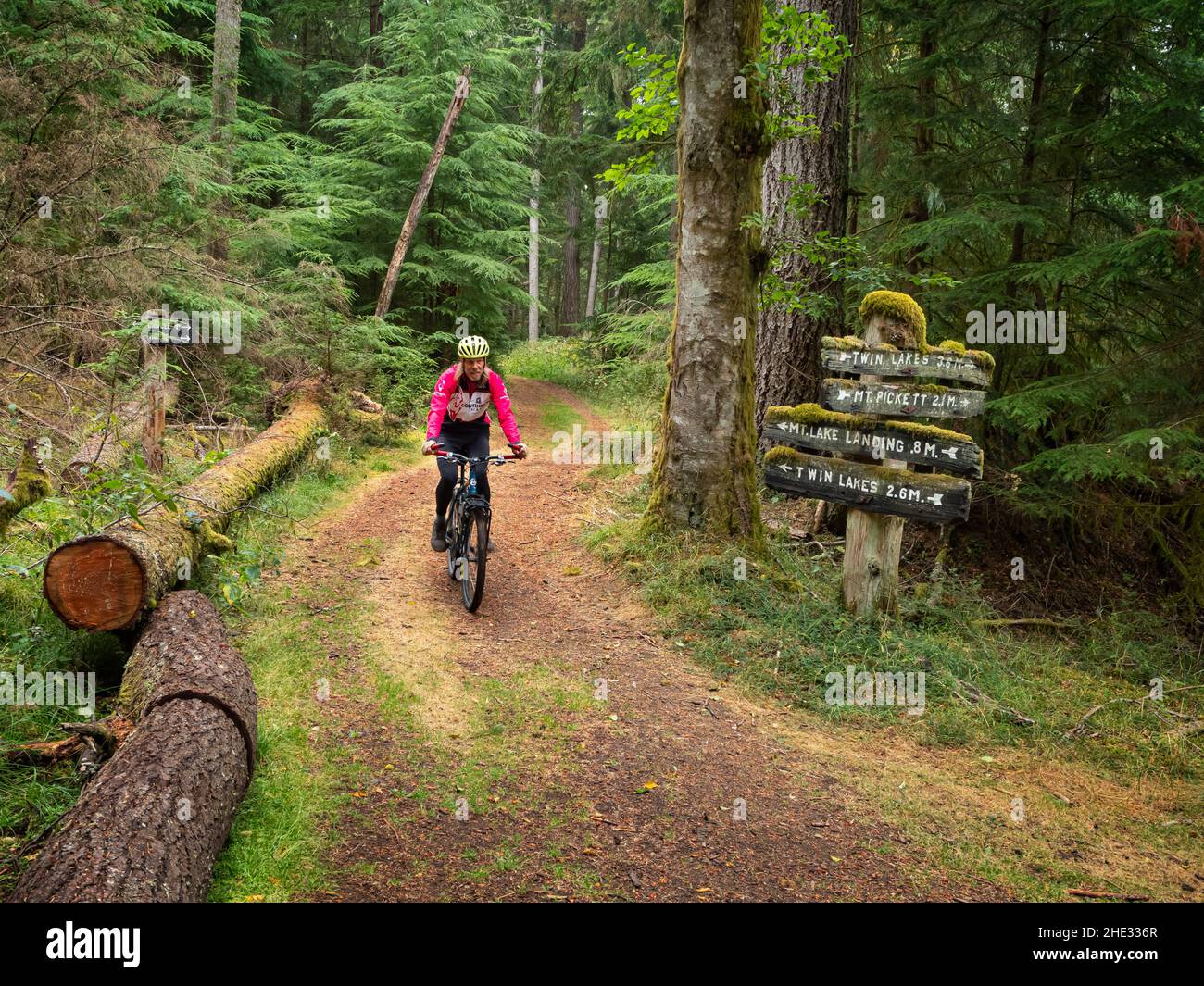 WA21033-00...WASHINGTON - Riding the old forest roads turned into hiking and biking trails in Moran State Park on Orcas Island. Stock Photo