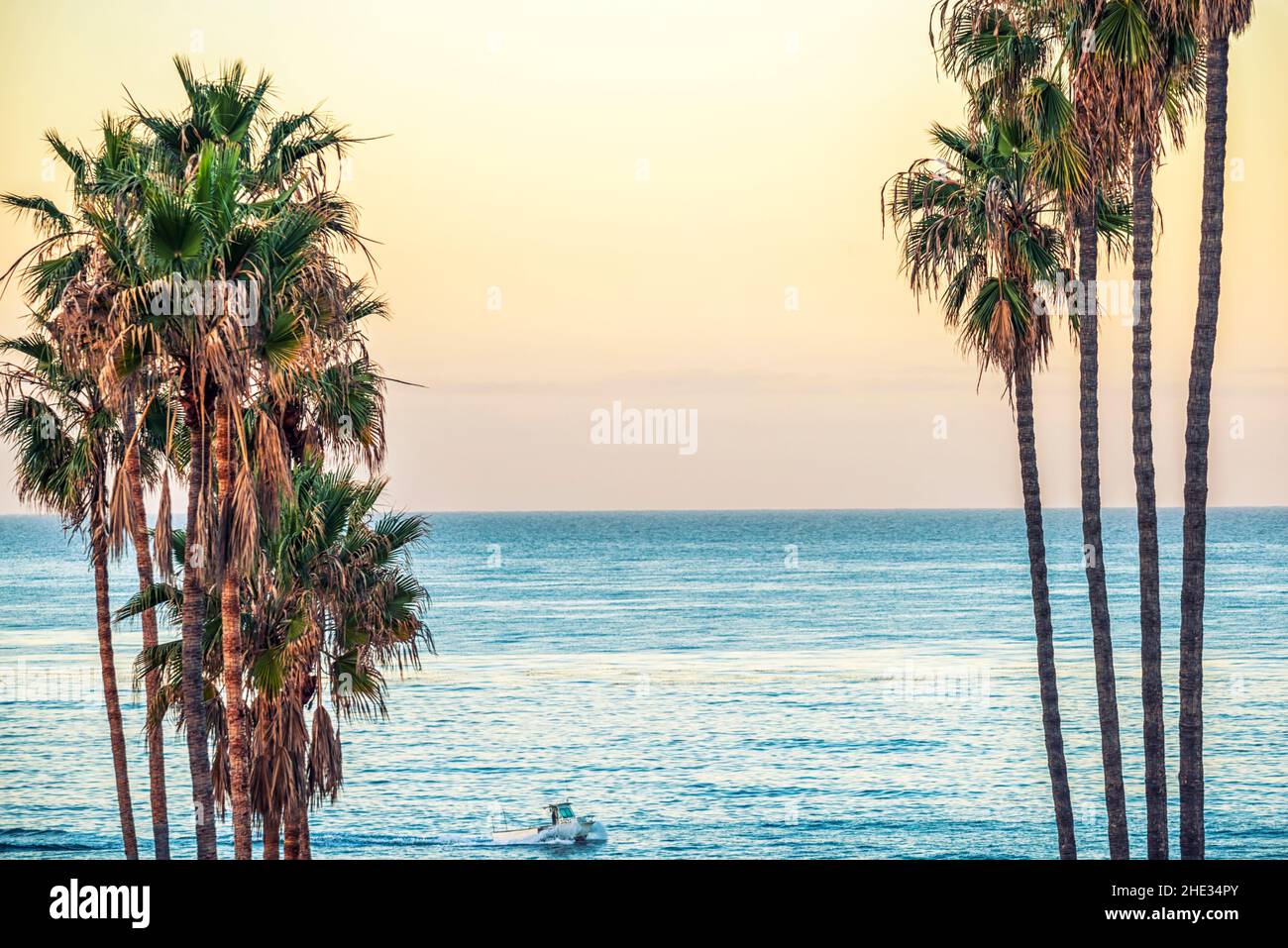 Coastal scenery palm trees hi-res stock photography and images - Alamy