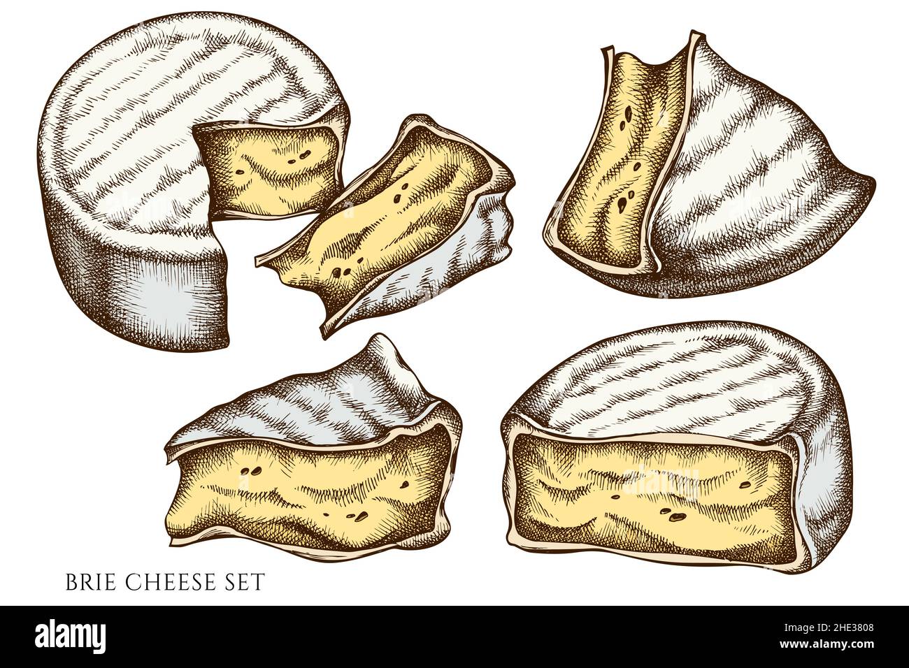 Brie drawing hires stock photography and images Alamy